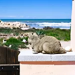 Casa Playa Villa