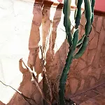 Villa Casa Playa