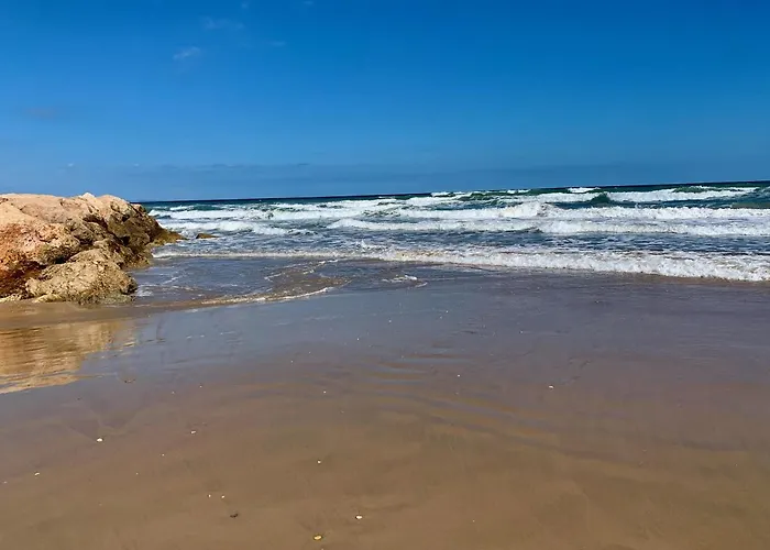 ヴィラ Casa Playa デニア